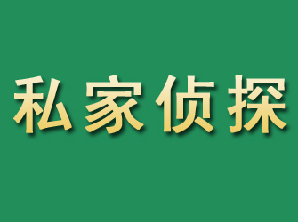 南开市私家正规侦探